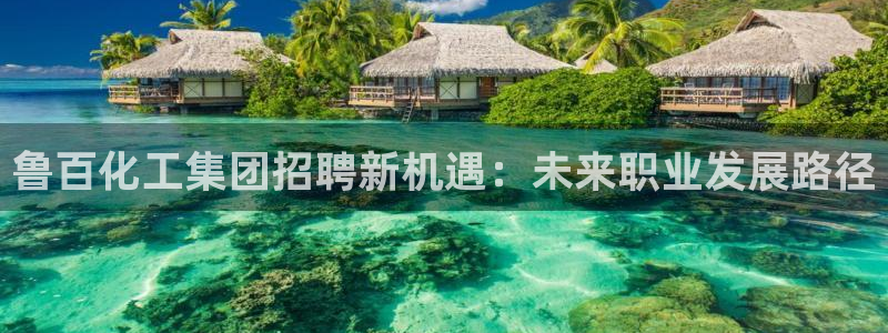 球盟会网页登录app下载地址：鲁百化工集
