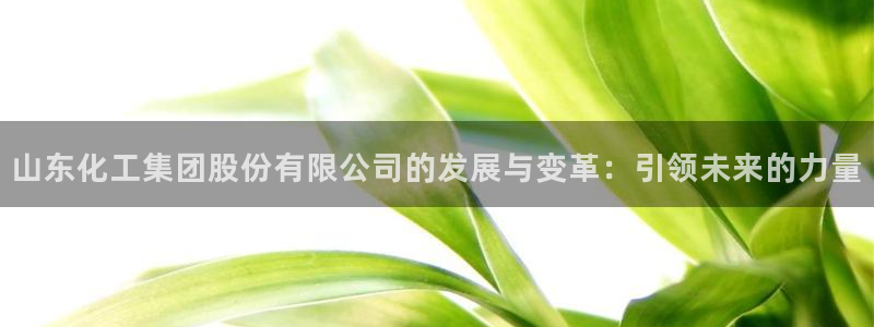 球盟会官网app下载：山东化工集团股份有