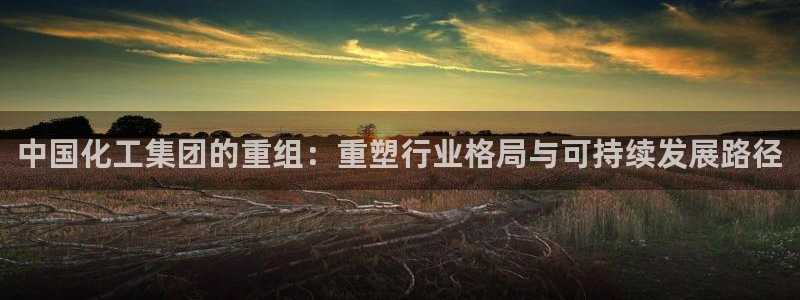 球盟会网址：中国化工集团的重组：重塑行业