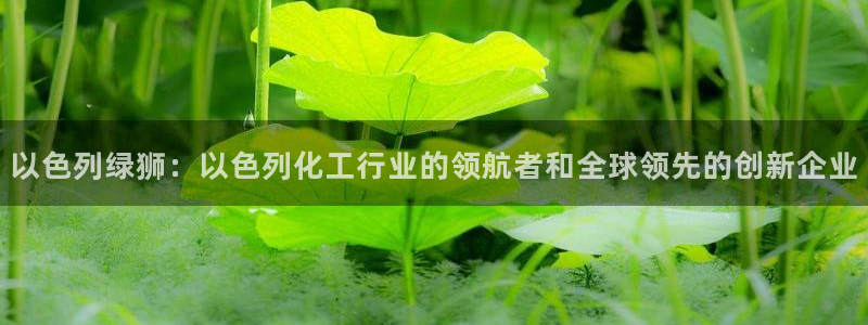 球盟会app：以色列绿狮：以色列化工行业