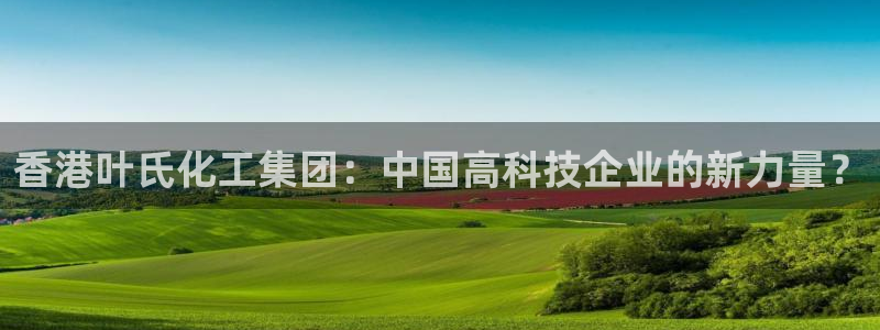 球盟会头号玩家是谁：香港叶氏化工集团：中