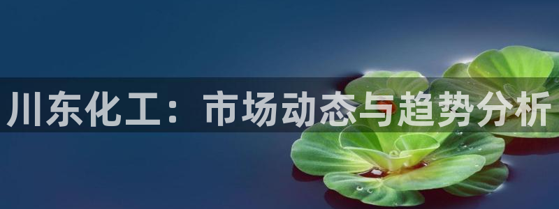 球盟会能提现吗是真的吗：川东化工：市场动