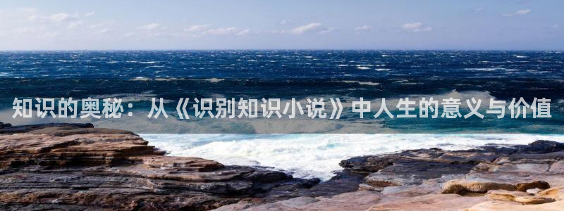 一朵棉花糖小说免费阅读完整版
