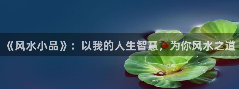 拉棉花糖的兔子小说合集txt：《风水小品》：以我的人生智慧，为你风水之道