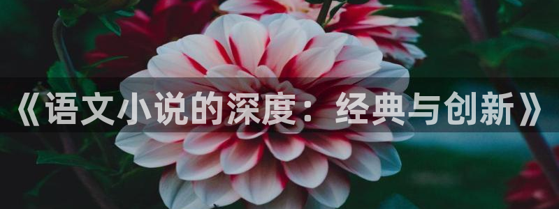 大盗贼txt下载棉花糖：《语文小说的深度：经典与创新》